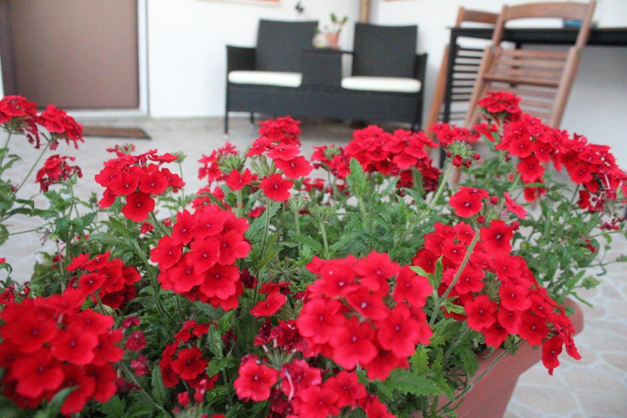 B&B Verzavo Cetraro Bagian luar foto